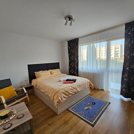 Elena'S Studio Brasov Coresi Экстерьер фото