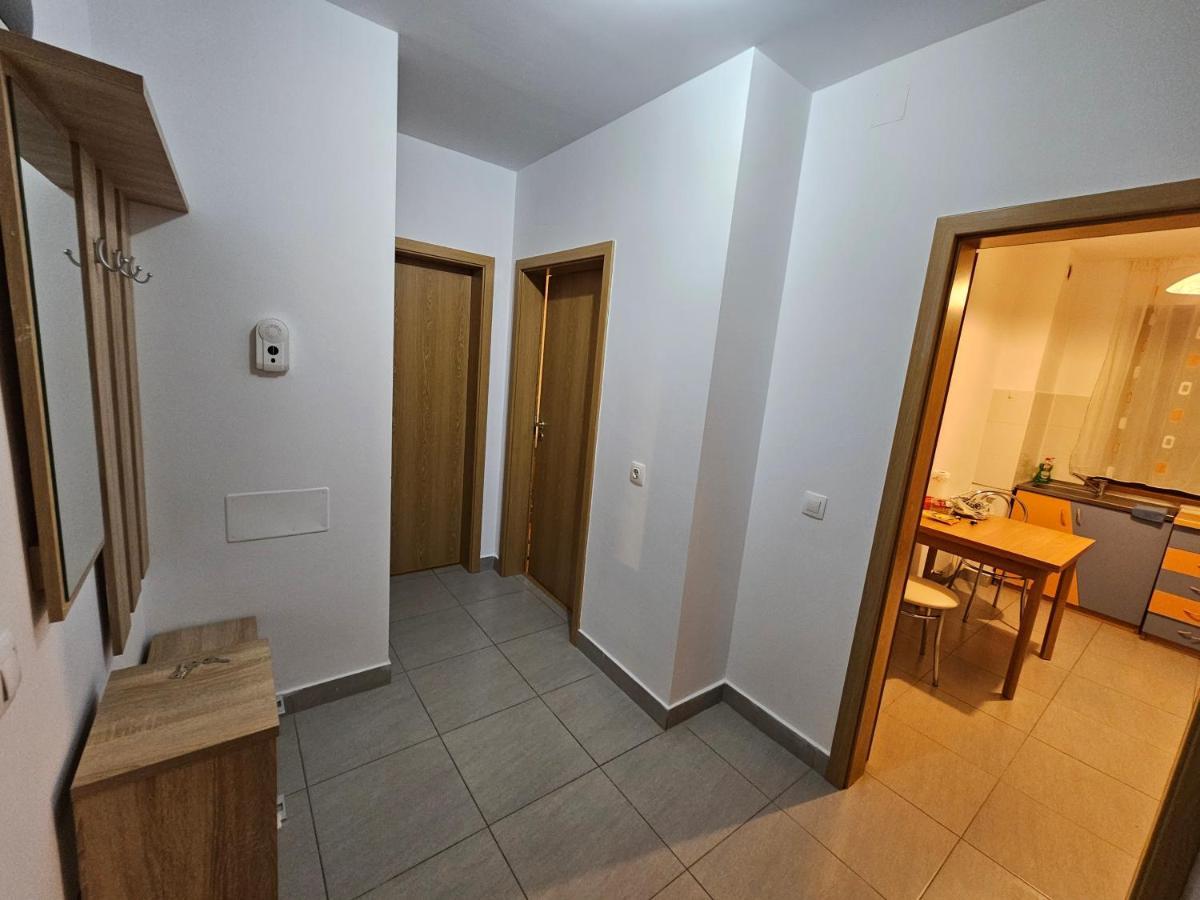 Elena'S Studio Brasov Coresi Экстерьер фото