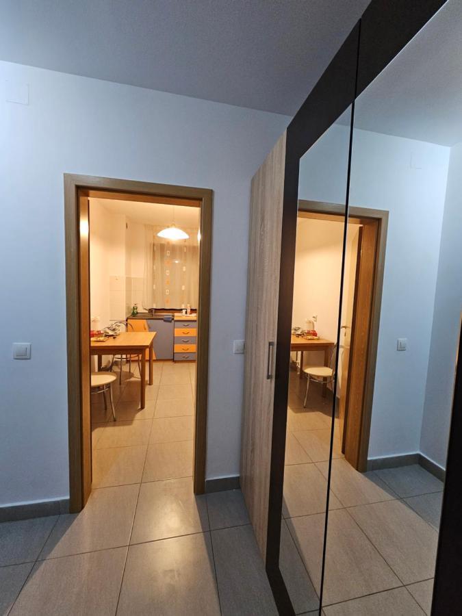 Elena'S Studio Brasov Coresi Экстерьер фото